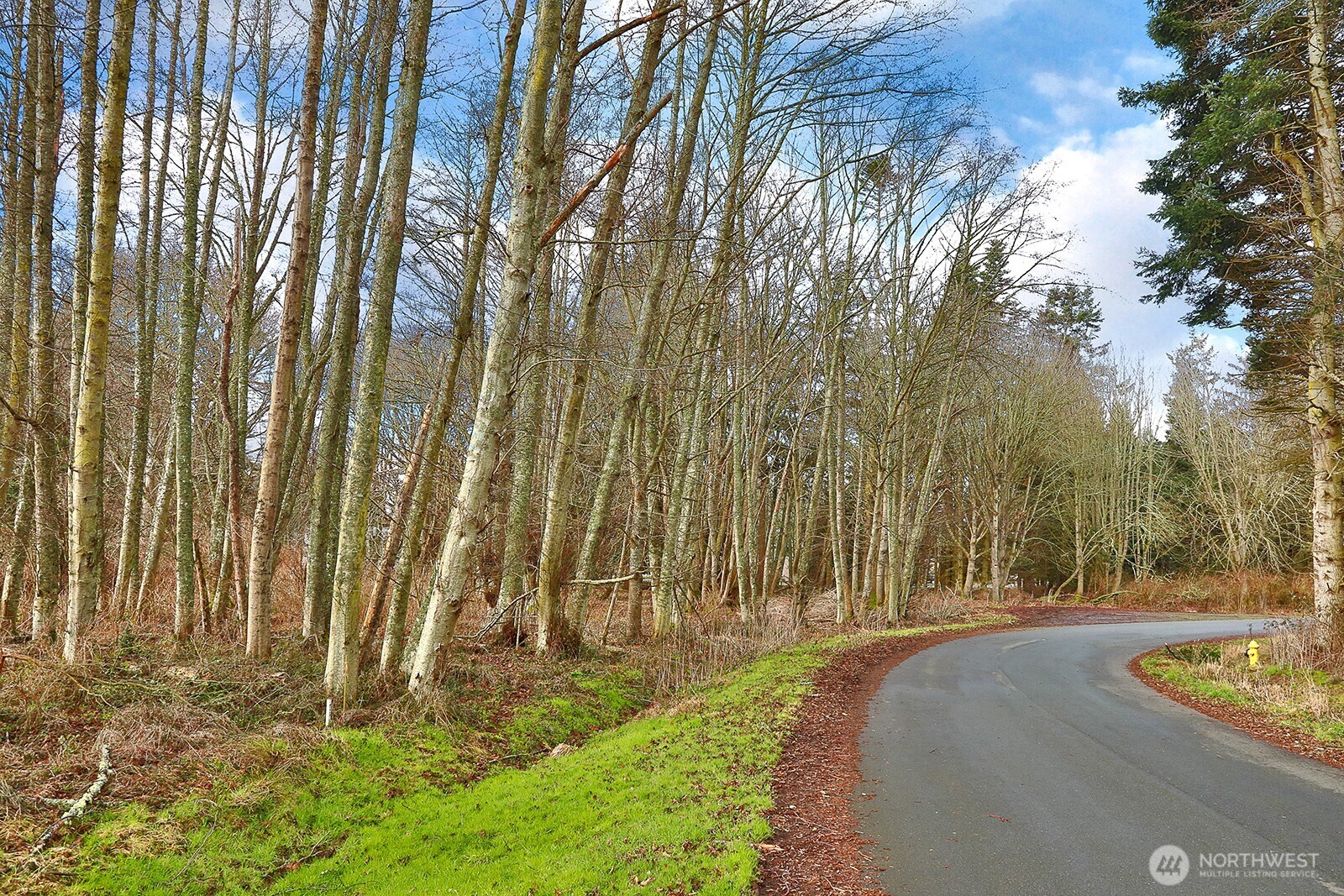 0 Leahy Drive Property Photo 1