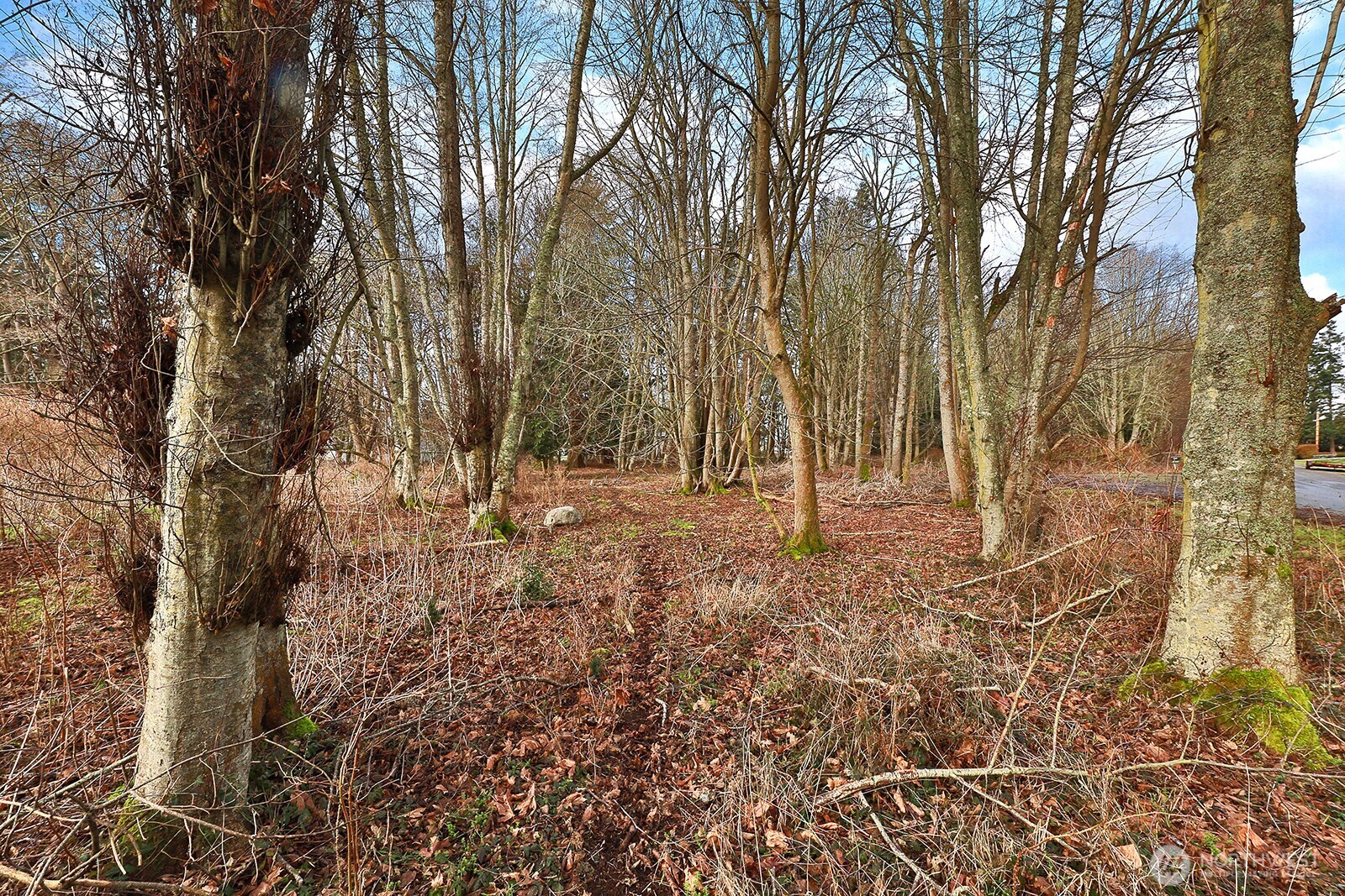 0 Leahy Drive Property Photo 3