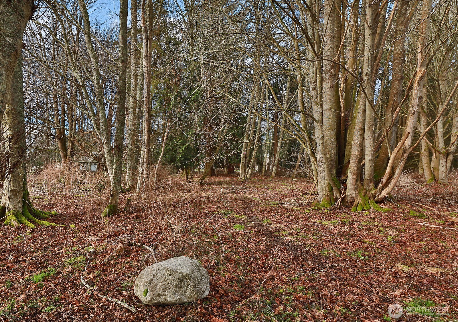 0 Leahy Drive Property Photo 4