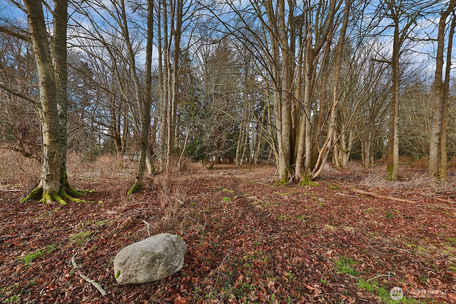 0 Leahy Drive Property Photo 5