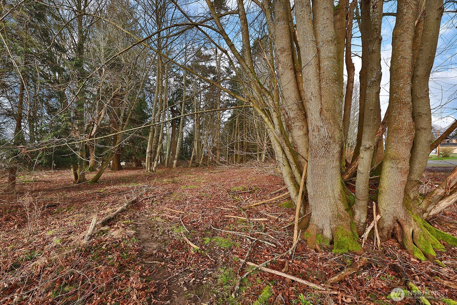 0 Leahy Drive Property Photo 6