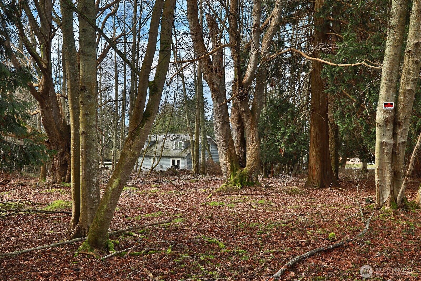 0 Leahy Drive Property Photo 7