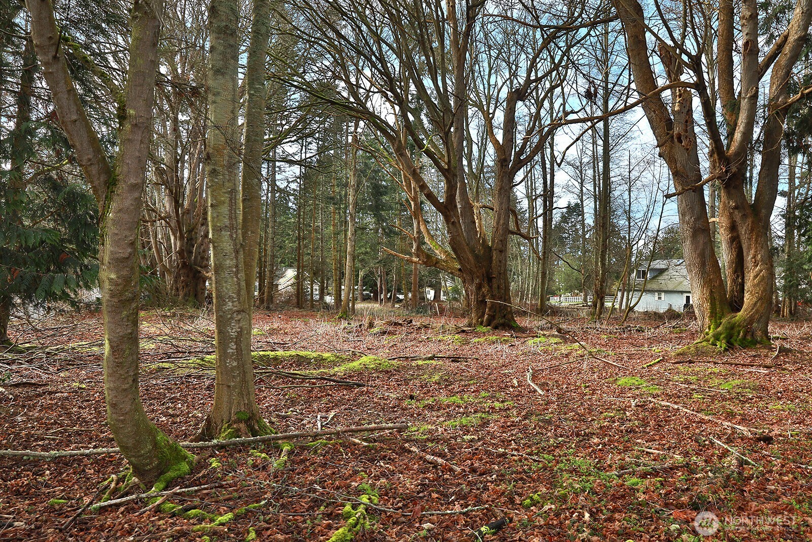 0 Leahy Drive Property Photo 8