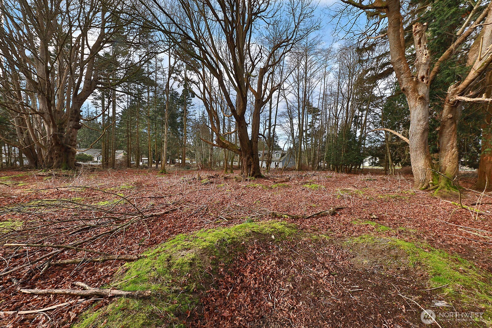 0 Leahy Drive Property Photo 9