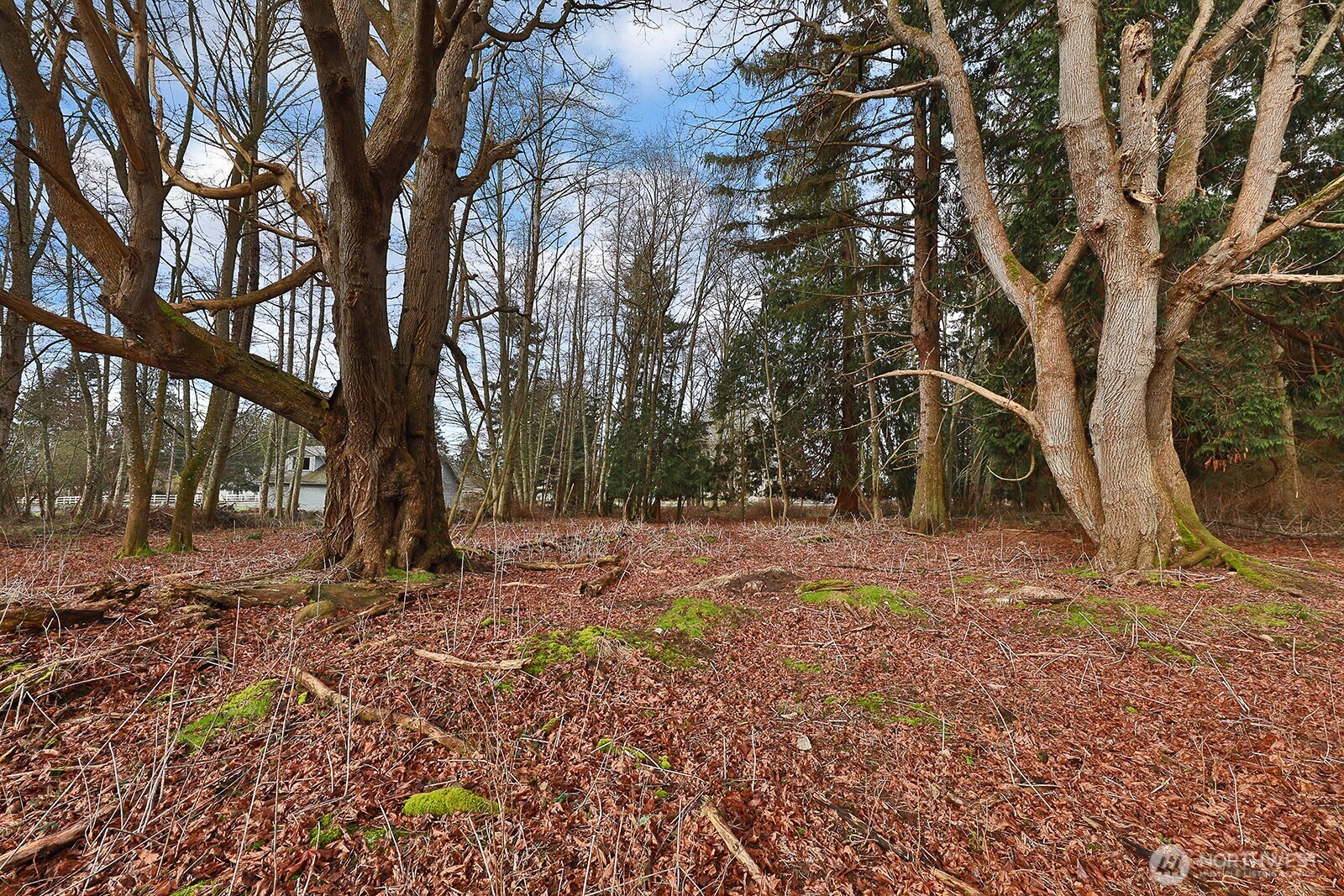 0 Leahy Drive Property Photo 10