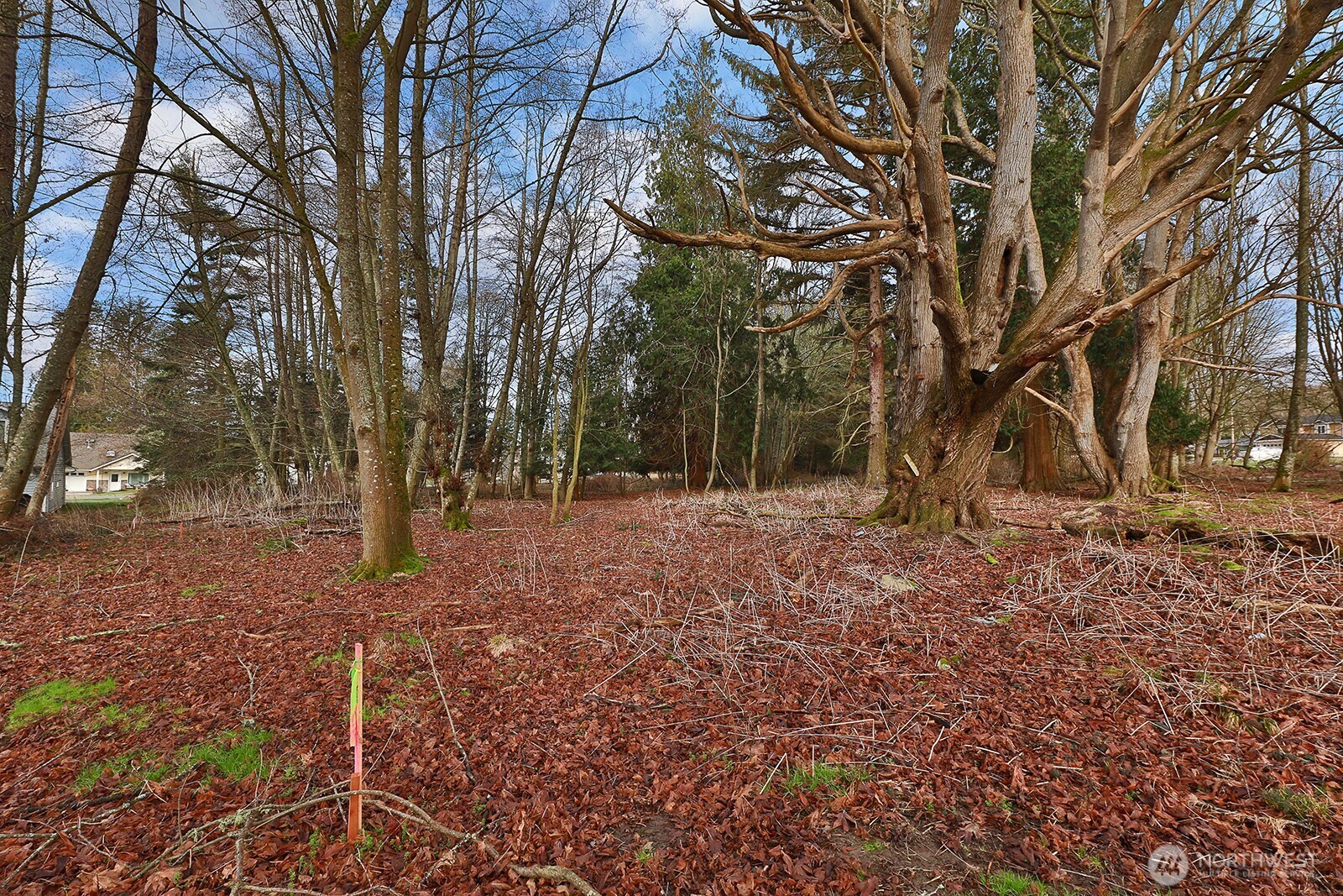 0 Leahy Drive Property Photo 11