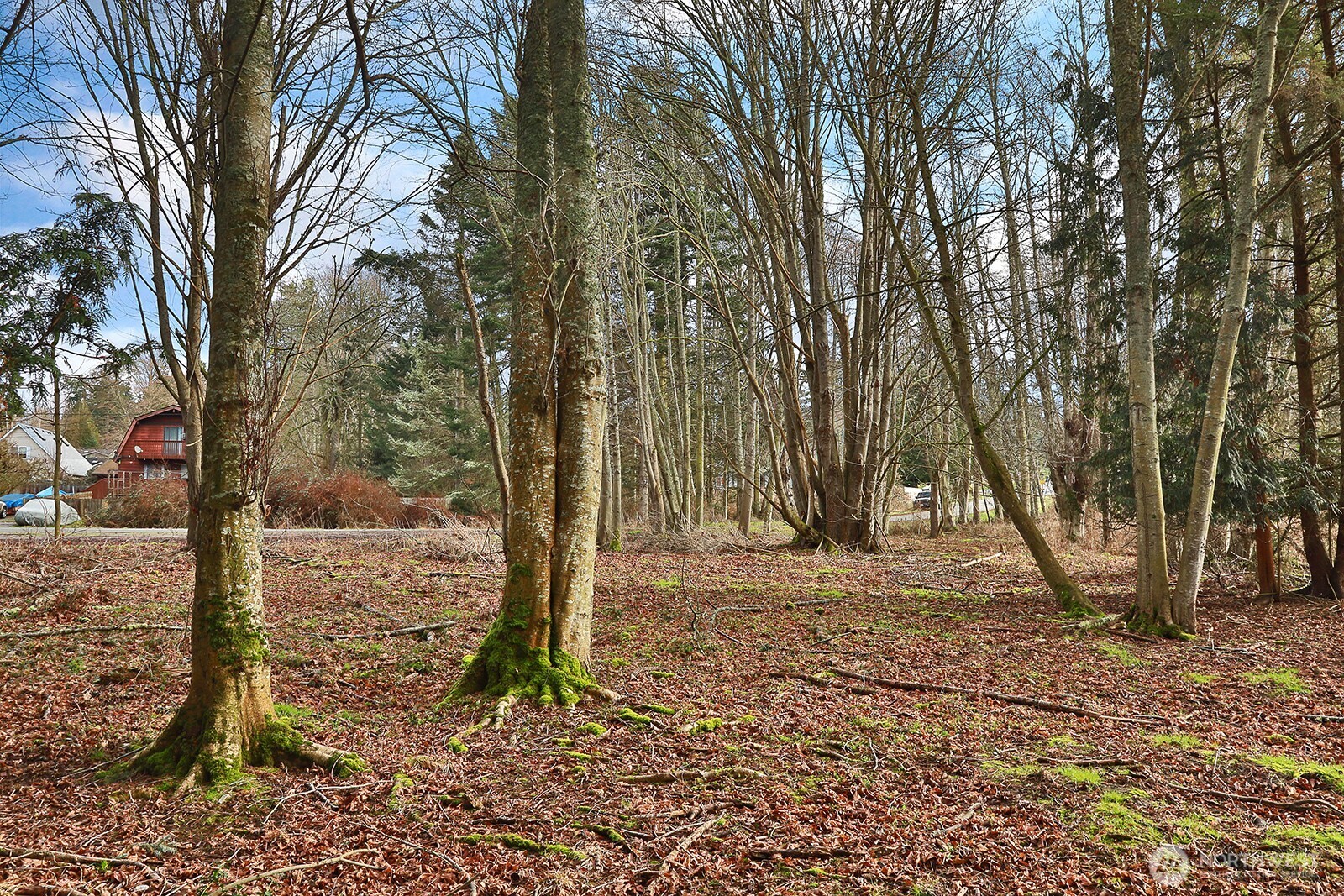 0 Leahy Drive Property Photo 15