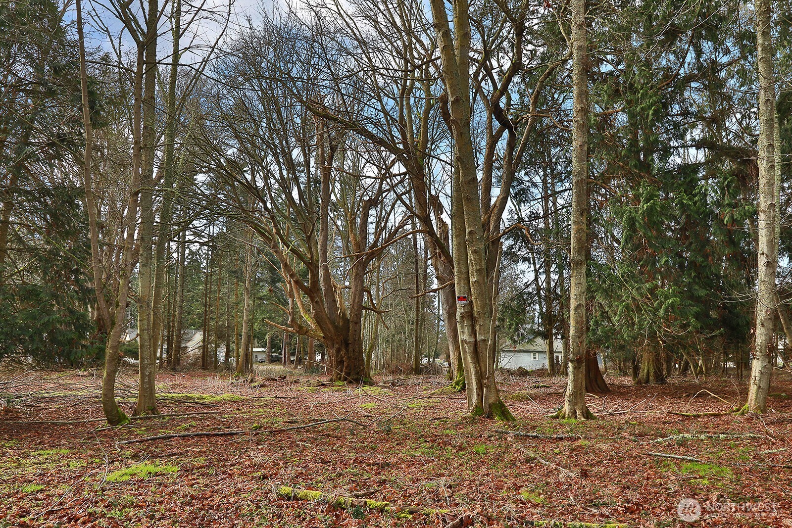 0 Leahy Drive Property Photo 16