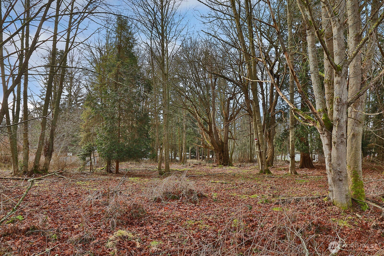 0 Leahy Drive Property Photo 17