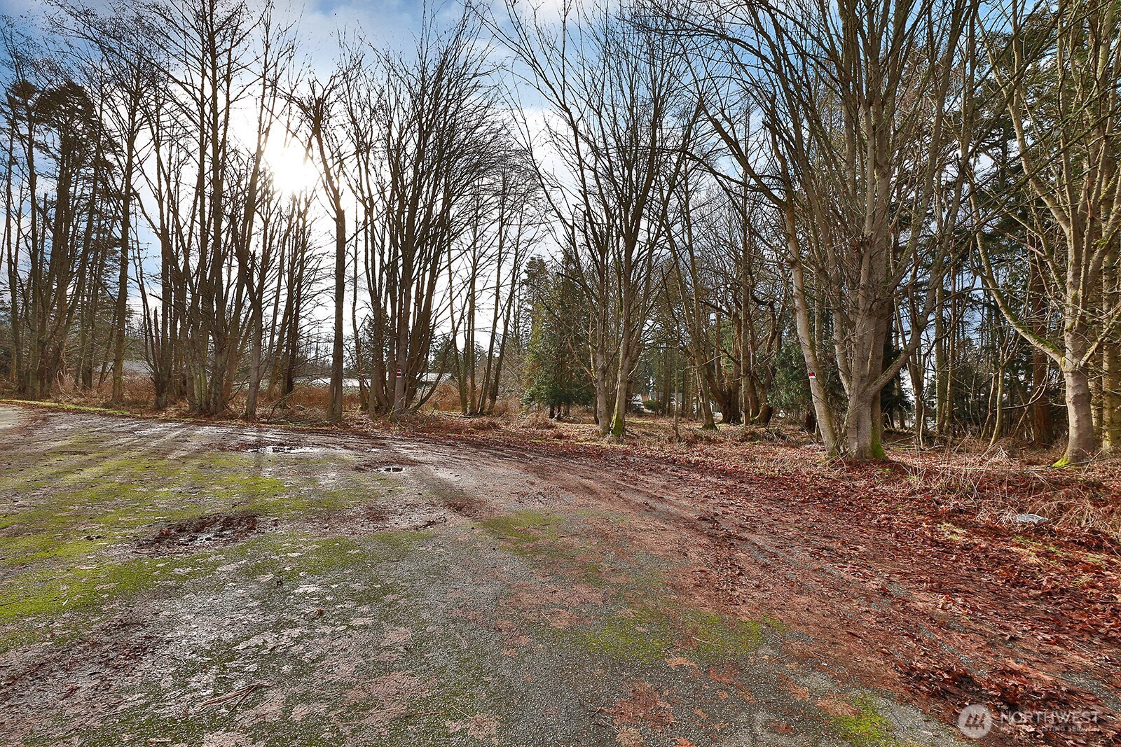 0 Leahy Drive Property Photo 20