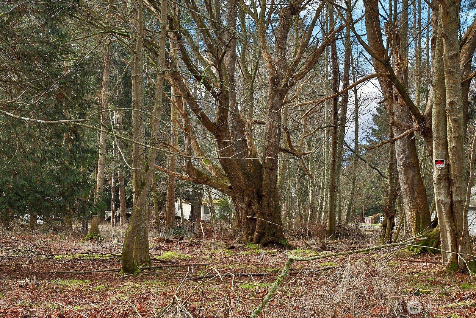 0 Leahy Drive Property Photo 22