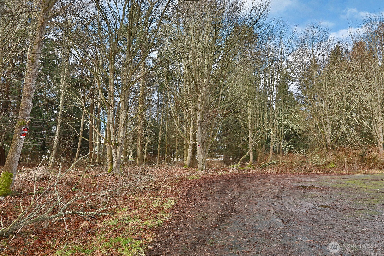 0 Leahy Drive Property Photo 23