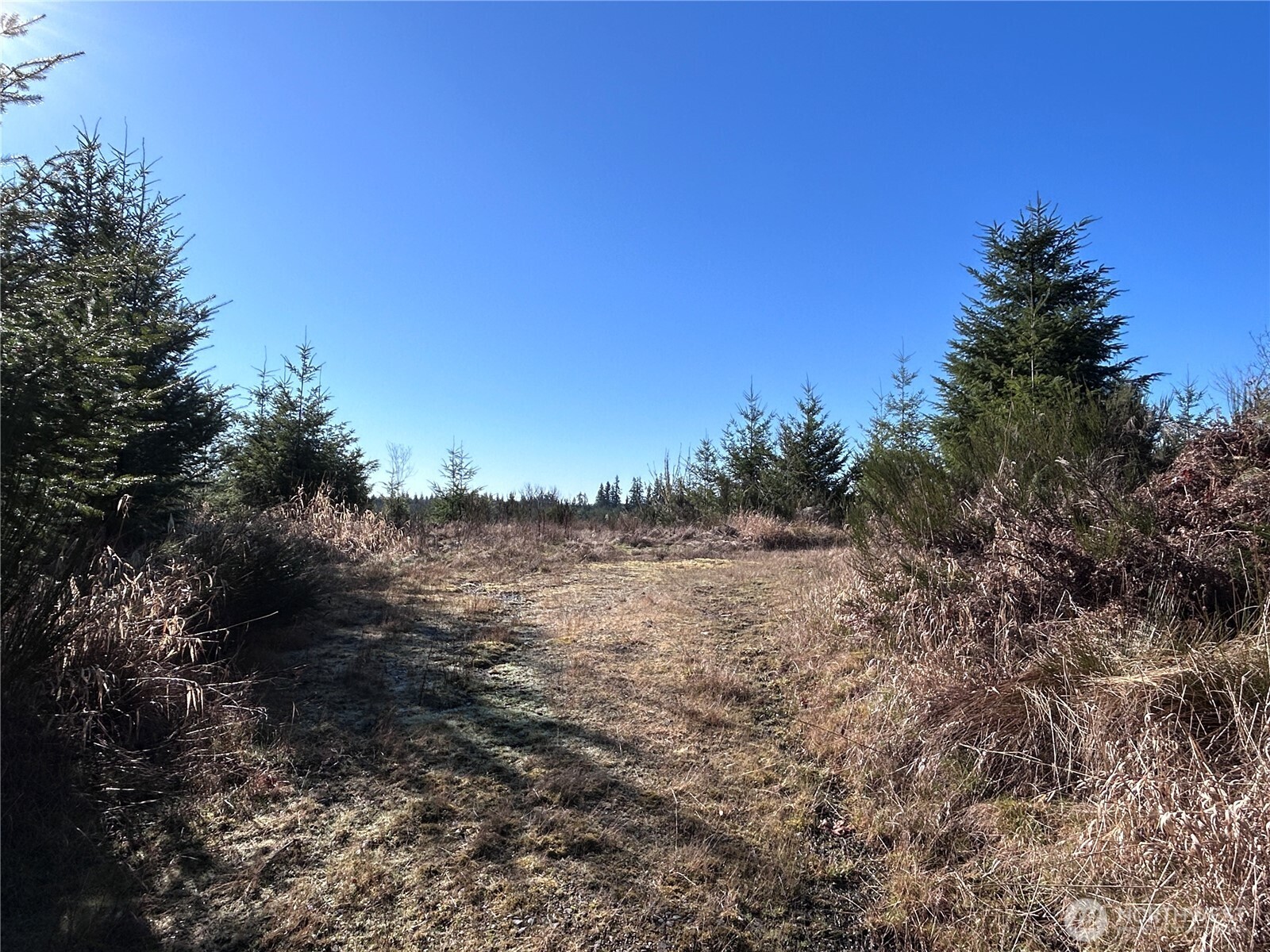 0 Nka Salmon Creek Road Property Photo 1