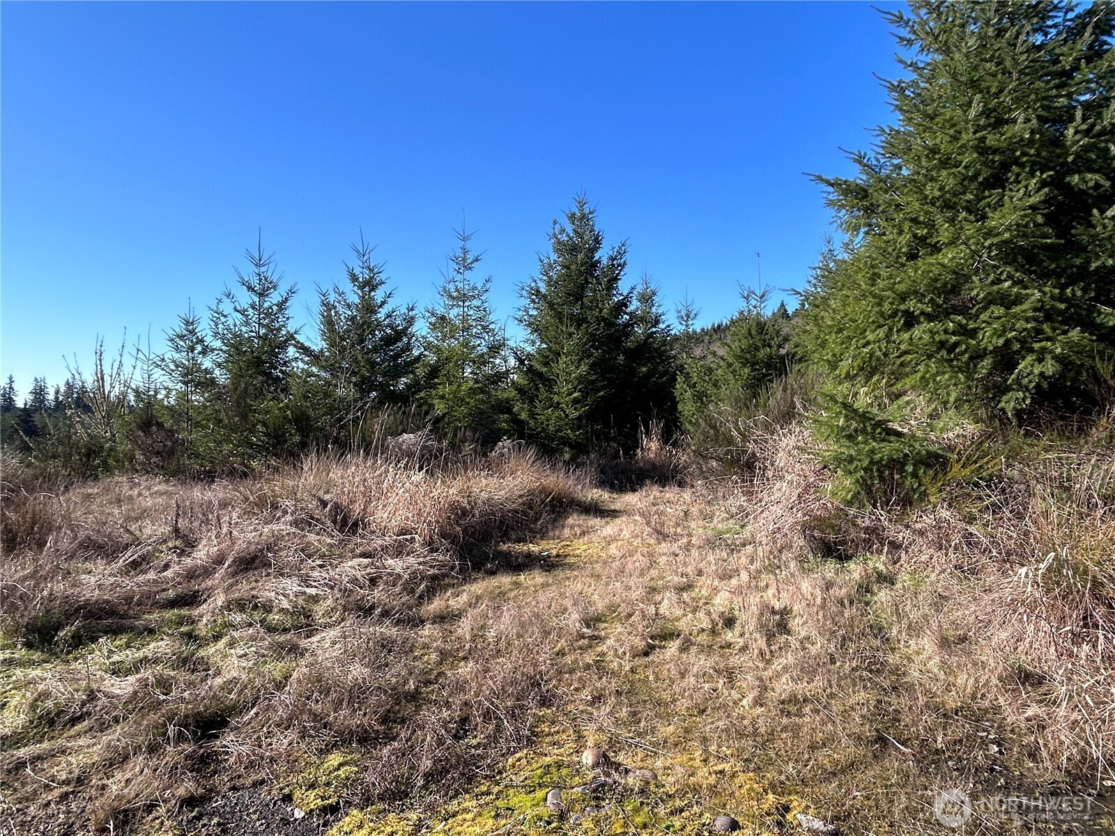 0 Nka Salmon Creek Road Property Photo 2