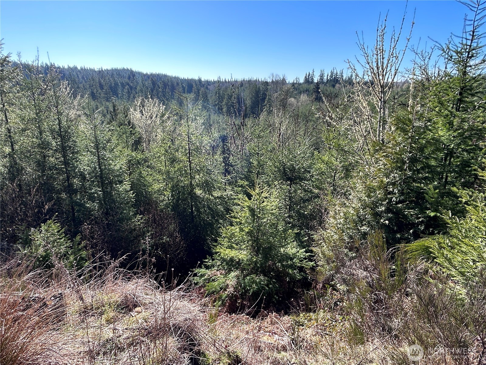 0 Nka Salmon Creek Road Property Photo 3