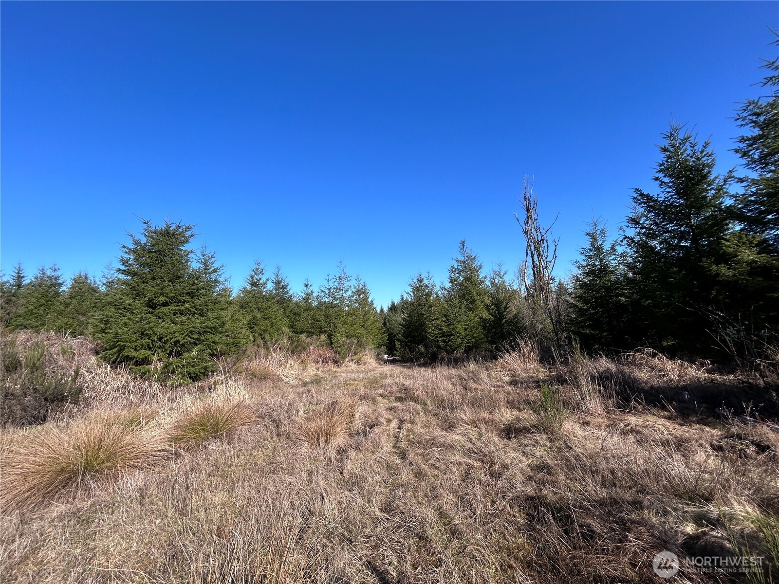 0 Nka Salmon Creek Road Property Photo 4