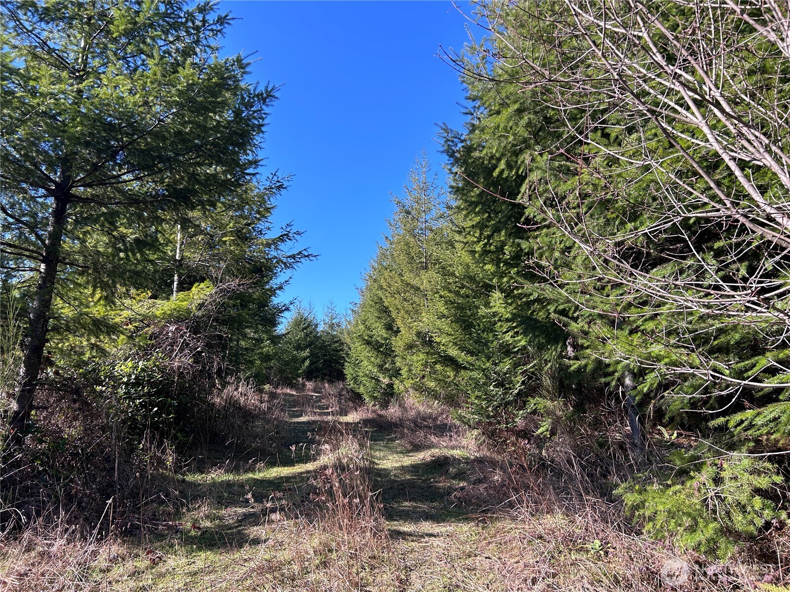 0 Nka Salmon Creek Road Property Photo 5