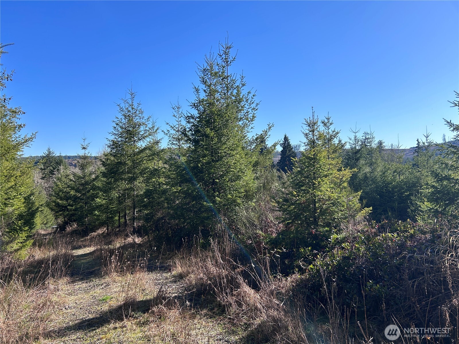 0 Nka Salmon Creek Road Property Photo 6