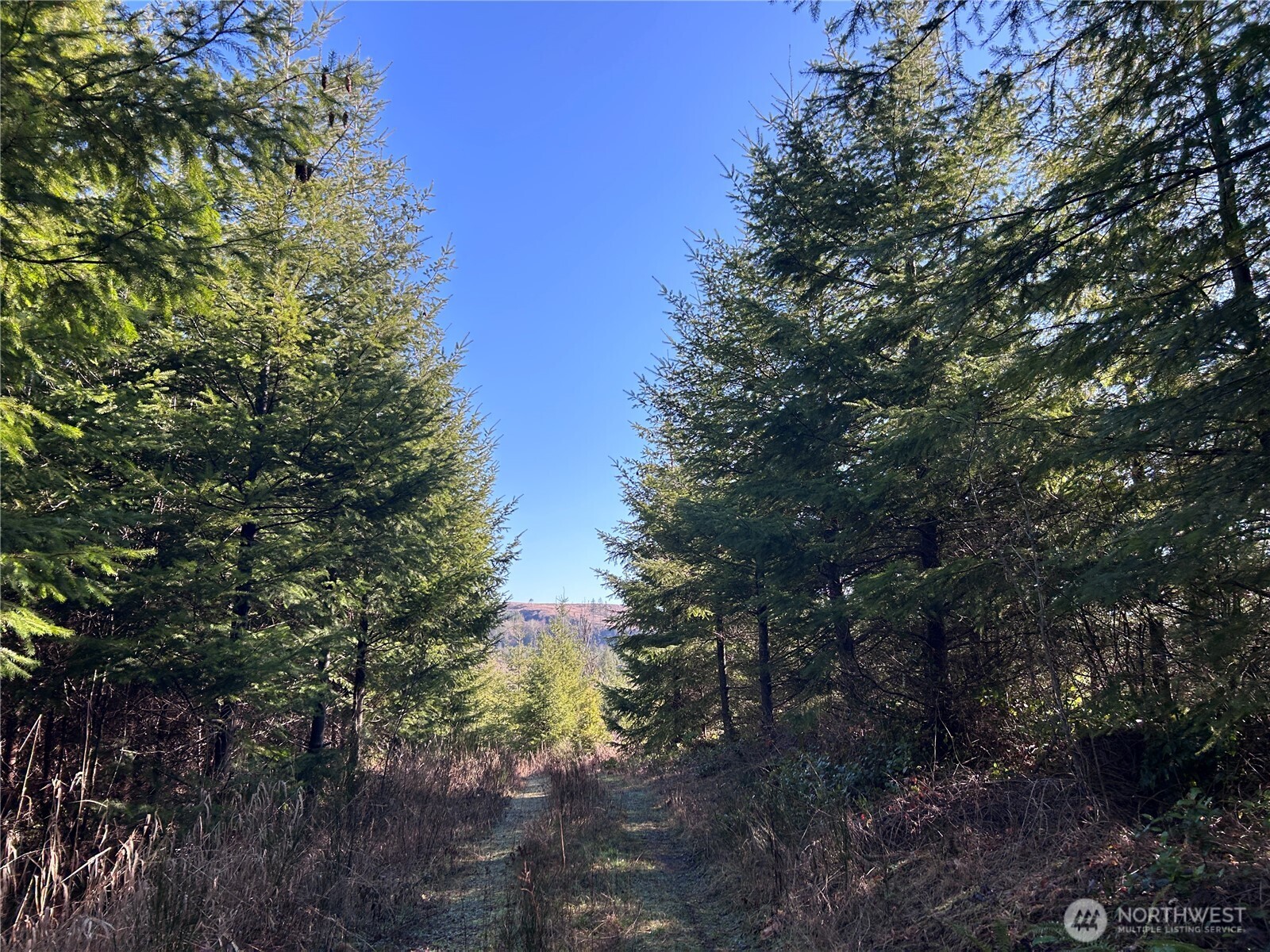 0 Nka Salmon Creek Road Property Photo 7