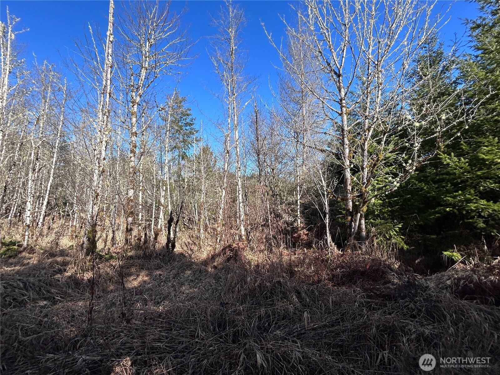 0 Nka Salmon Creek Road Property Photo 8