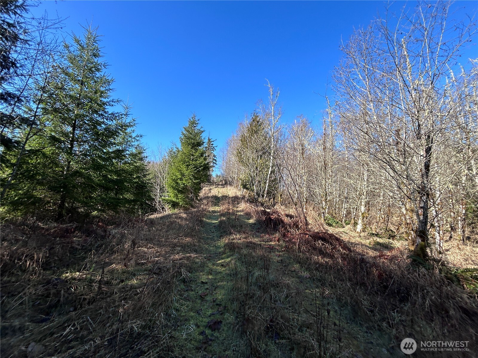 0 Nka Salmon Creek Road Property Photo 9