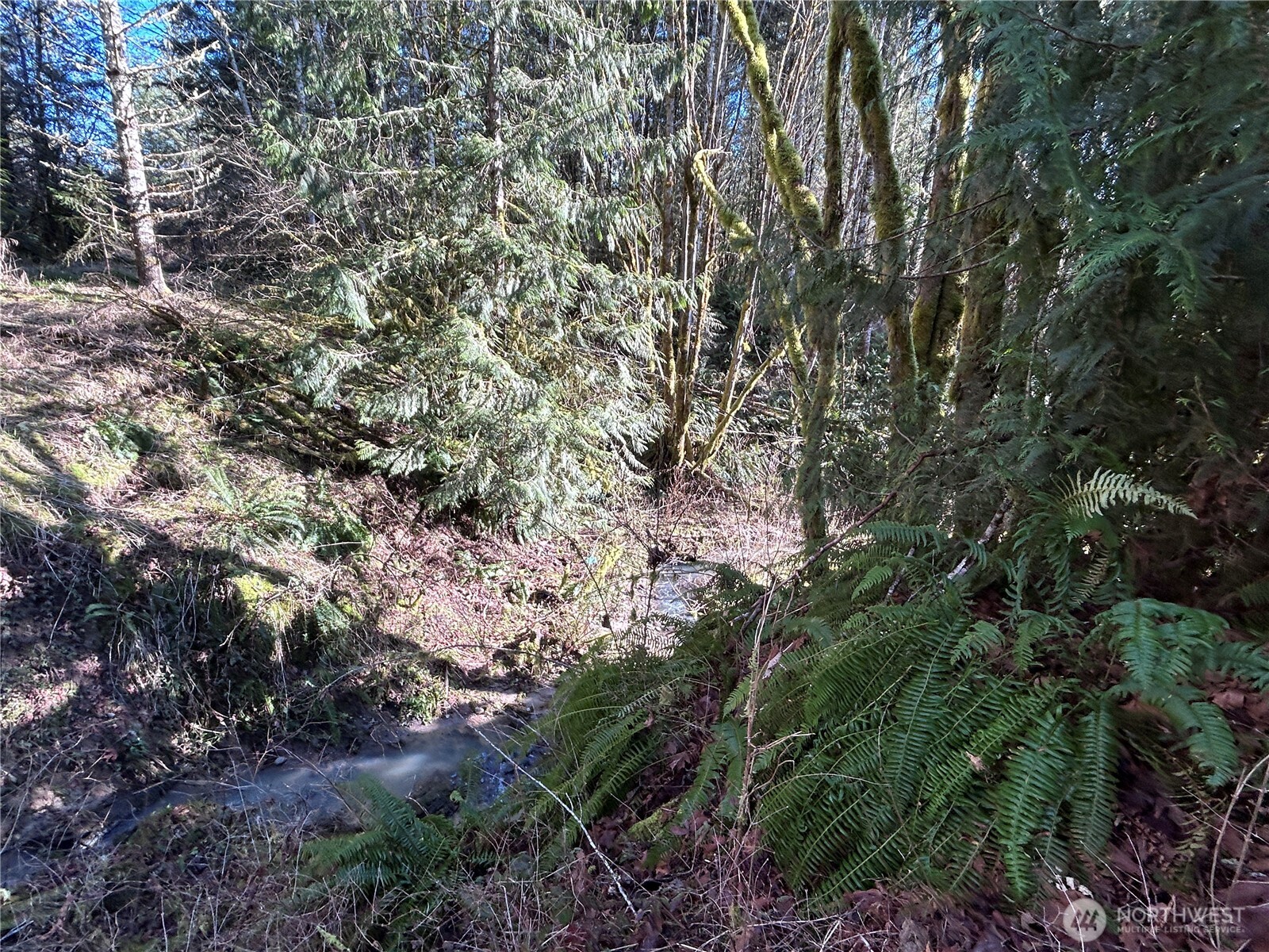 0 Nka Salmon Creek Road Property Photo 10