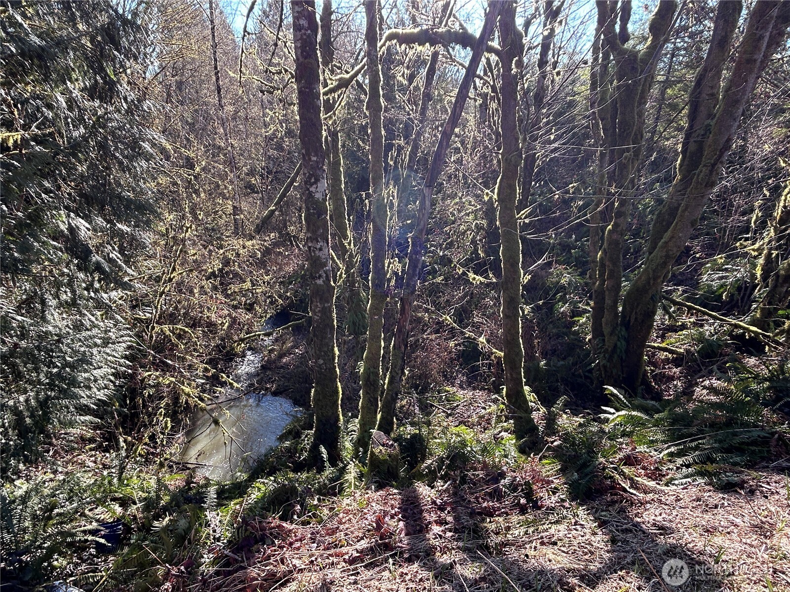 0 Nka Salmon Creek Road Property Photo 12