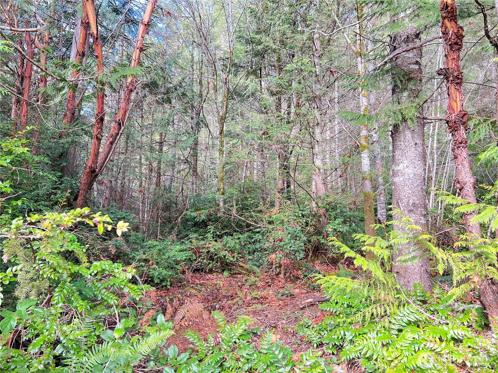 1634 Sunrise Road Property Photo 6