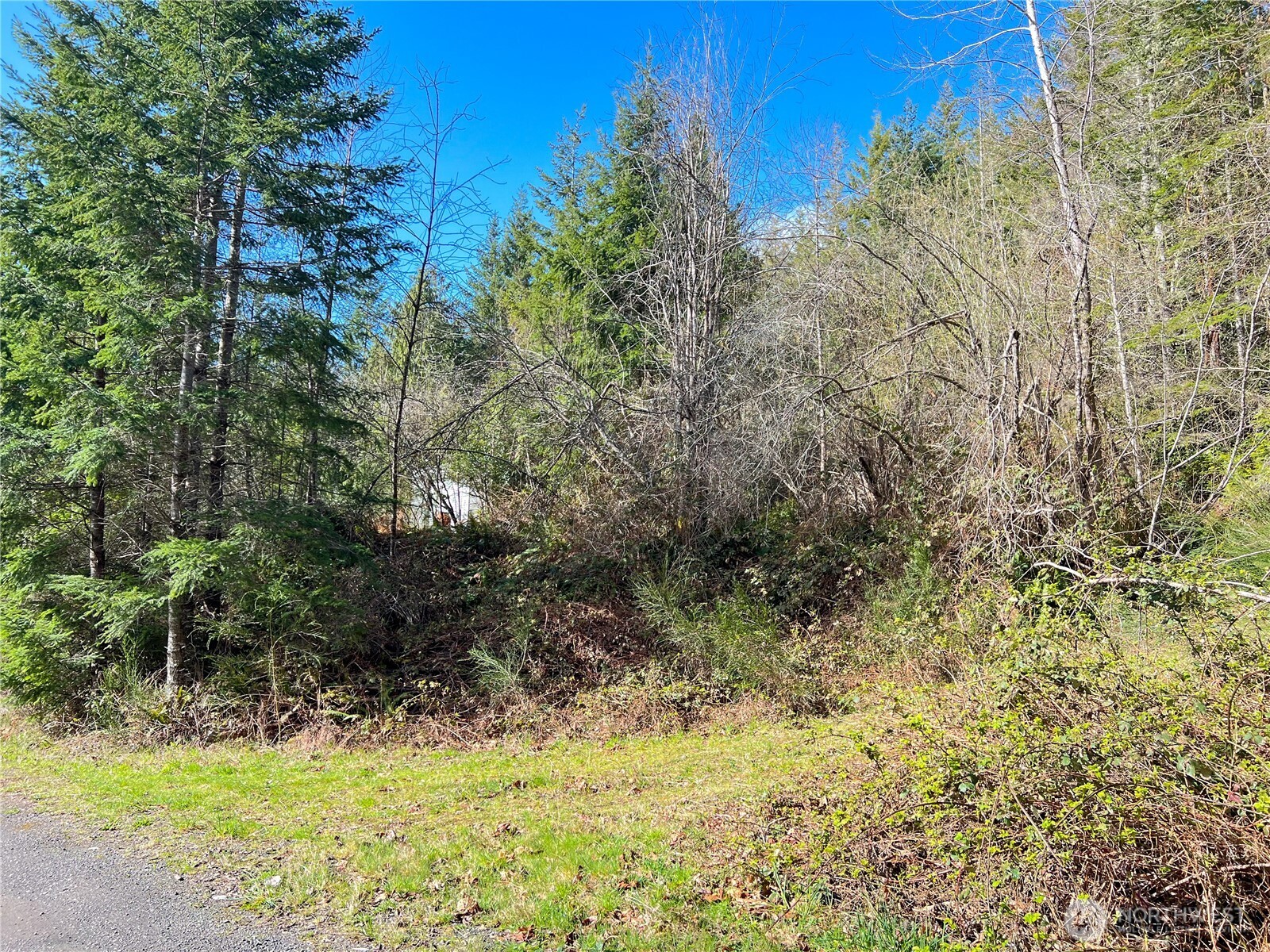 1634 Sunrise Road Property Photo 15