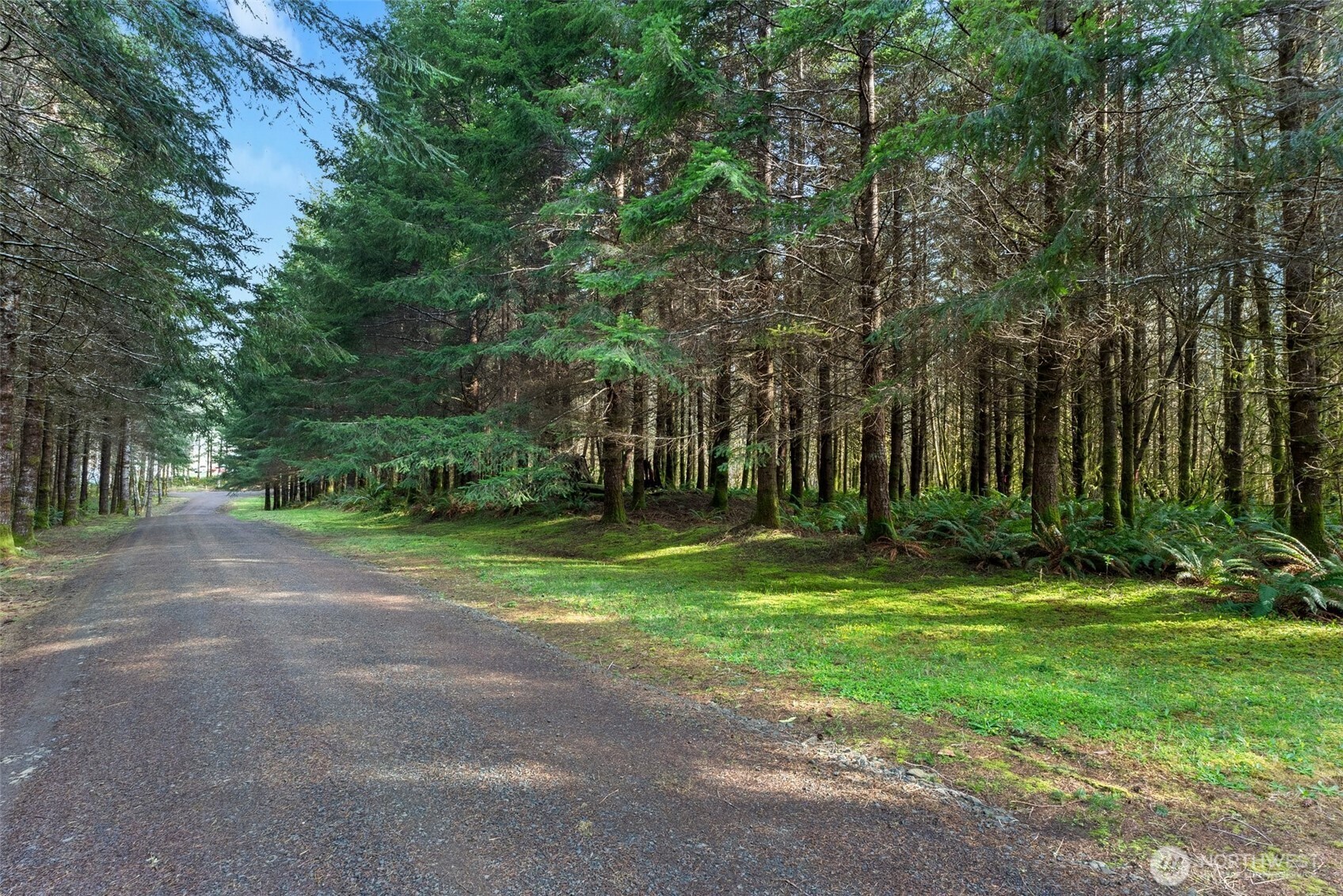 0 Xx South Fork Rd Road Property Photo 1