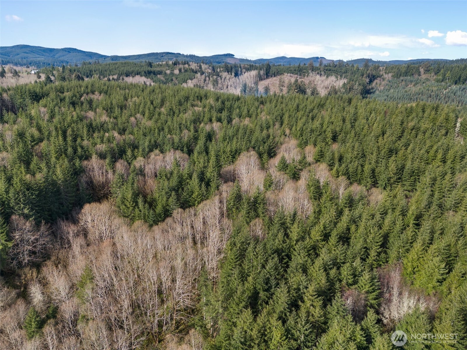 0 Xx South Fork Rd Road Property Photo 17