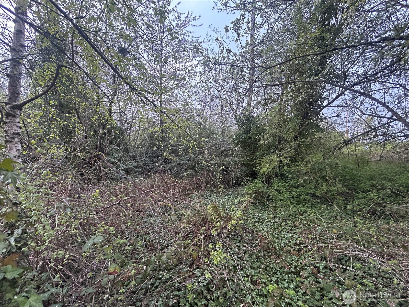 132 Xx 84th Avenue Property Photo 10