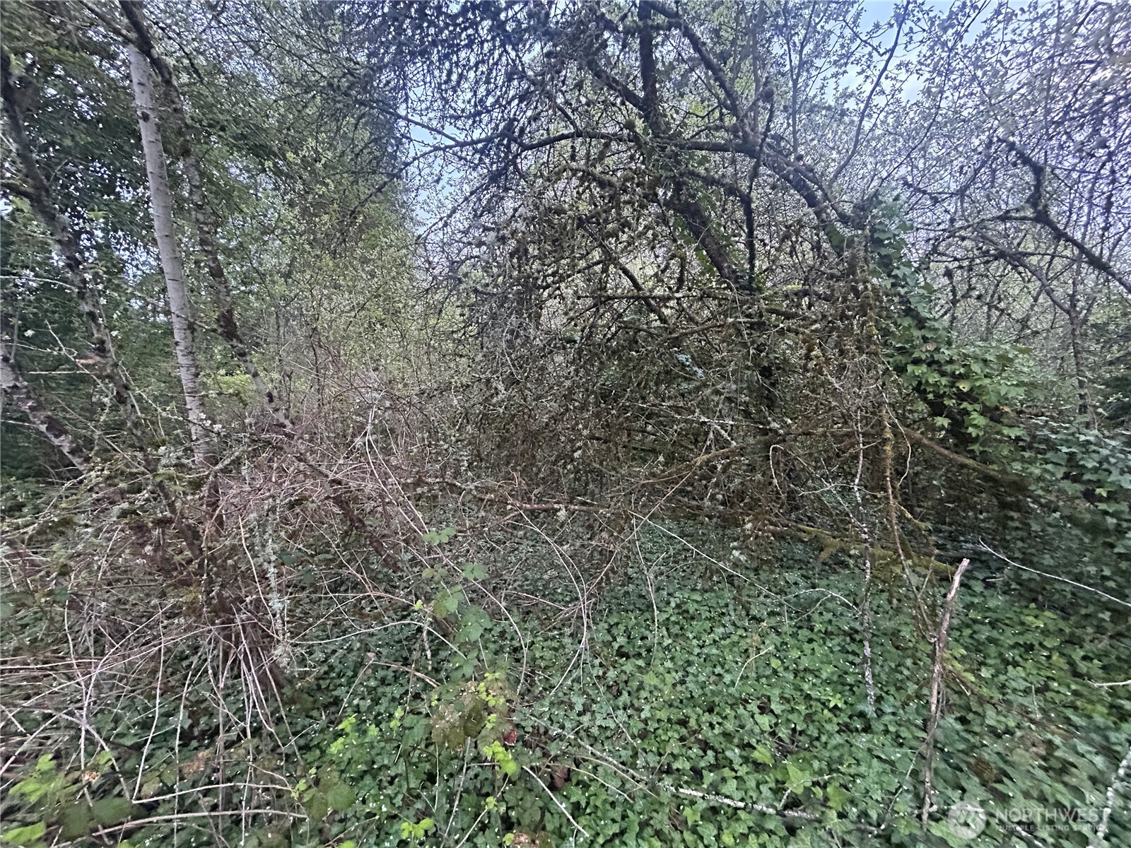 132 Xx 84th Avenue Property Photo 13