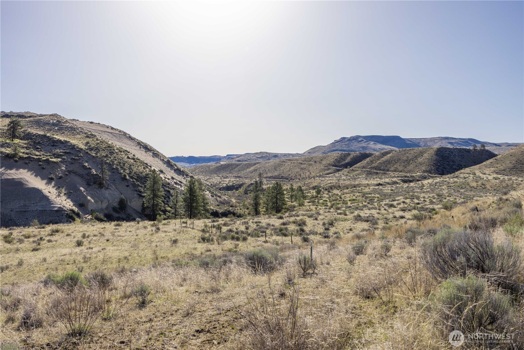 1163 Strahl Canyon Road Property Photo 35