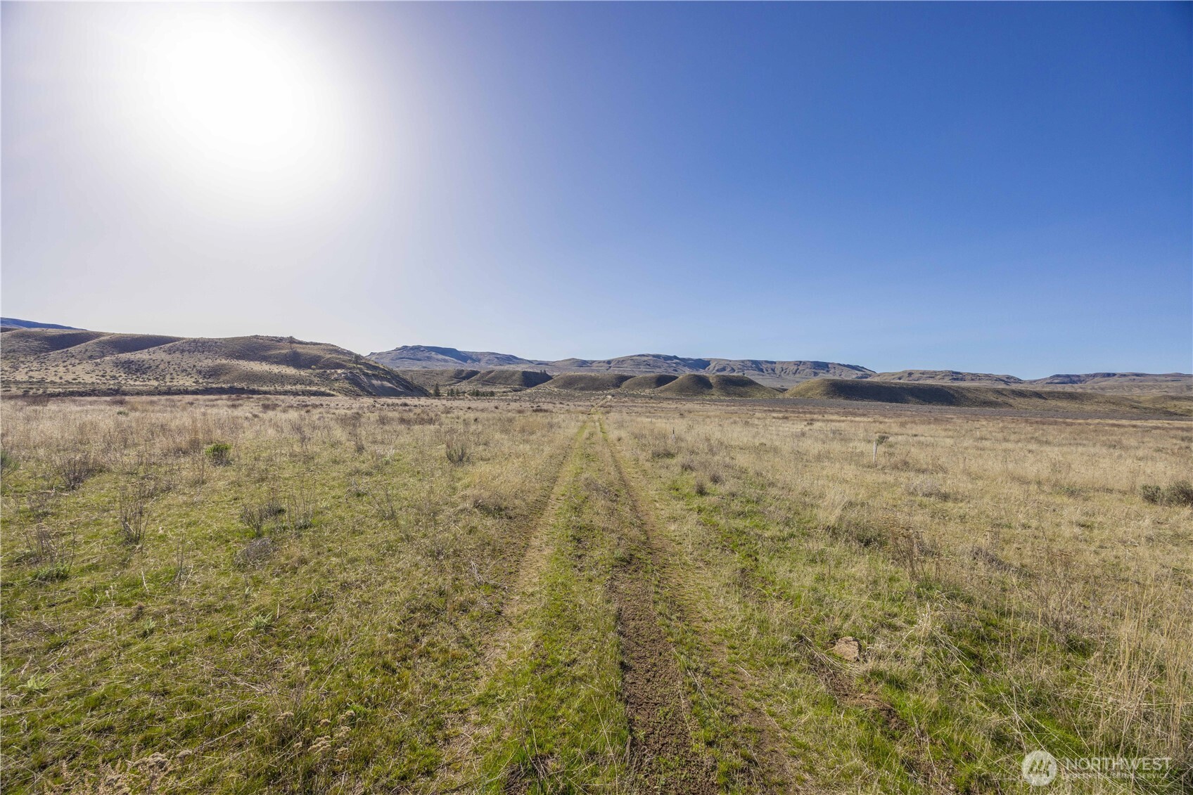 1163 Strahl Canyon Road Property Photo 38