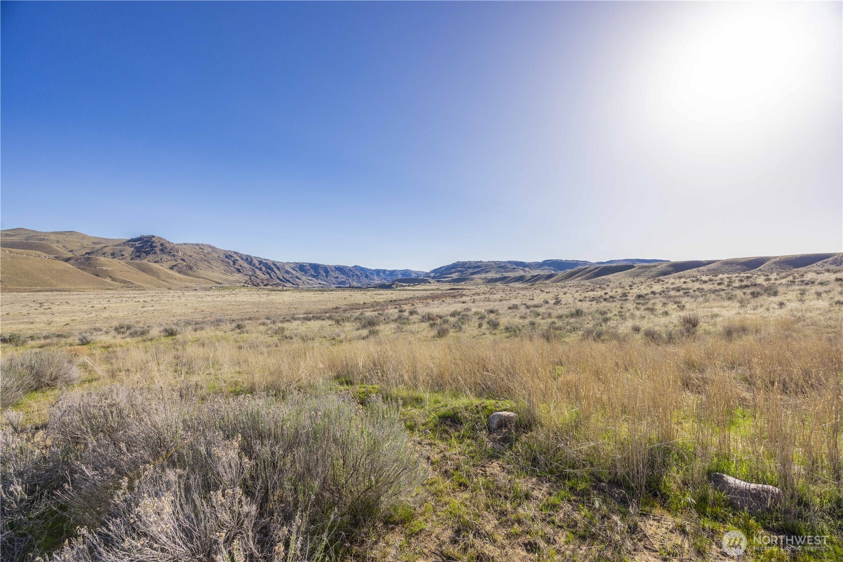 1163 Strahl Canyon Road Property Photo 39