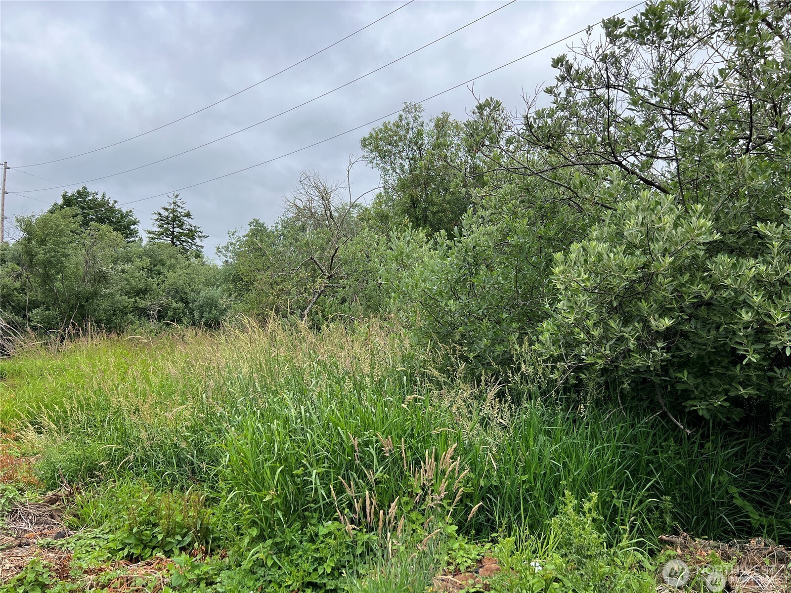 0 X Eight Street Property Photo 3