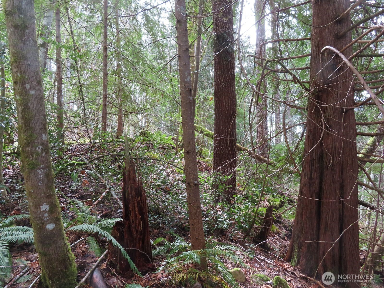 0 Xxx N Lake Cushman Road Property Photo 4