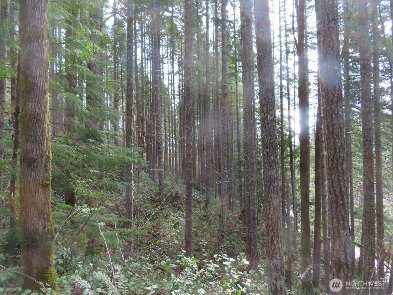 0 Xxx N Lake Cushman Road Property Photo 5