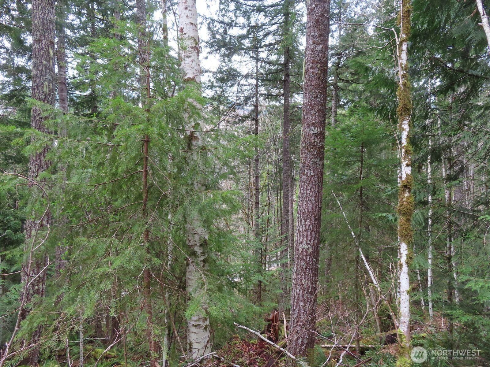 0 Xxx N Lake Cushman Road Property Photo 6