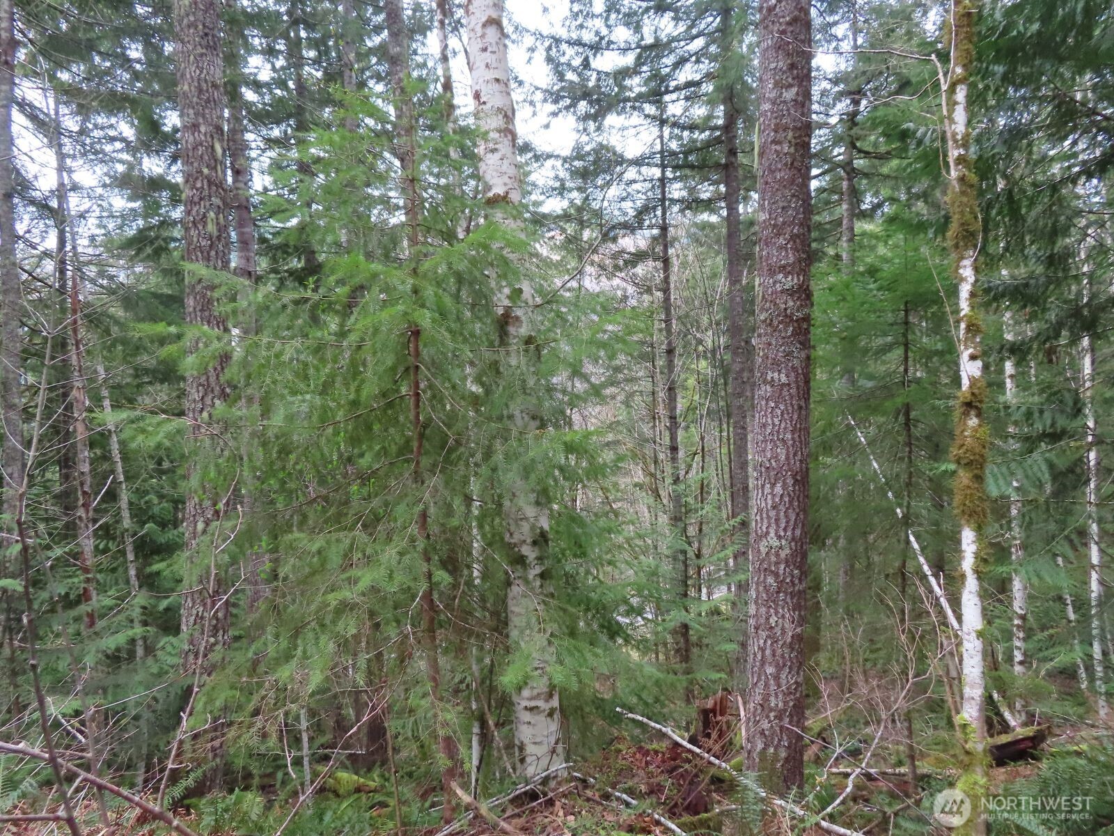0 Xxx N Lake Cushman Road Property Photo 8