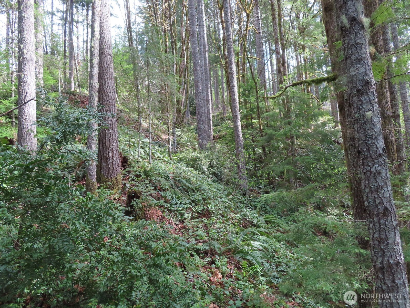 0 Xxx N Lake Cushman Road Property Photo 12