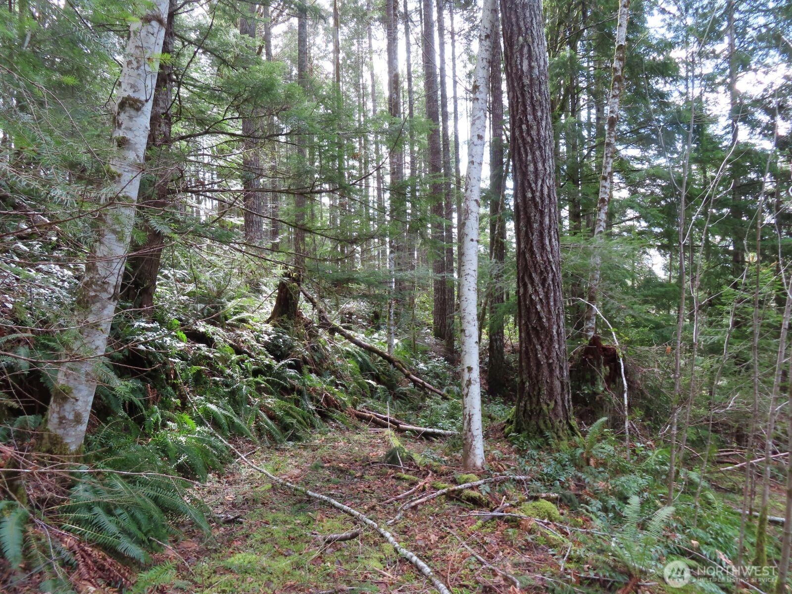 0 Xxx N Lake Cushman Road Property Photo 13