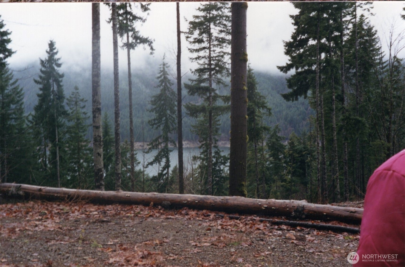 0 Xxx N Lake Cushman Road Property Photo 14