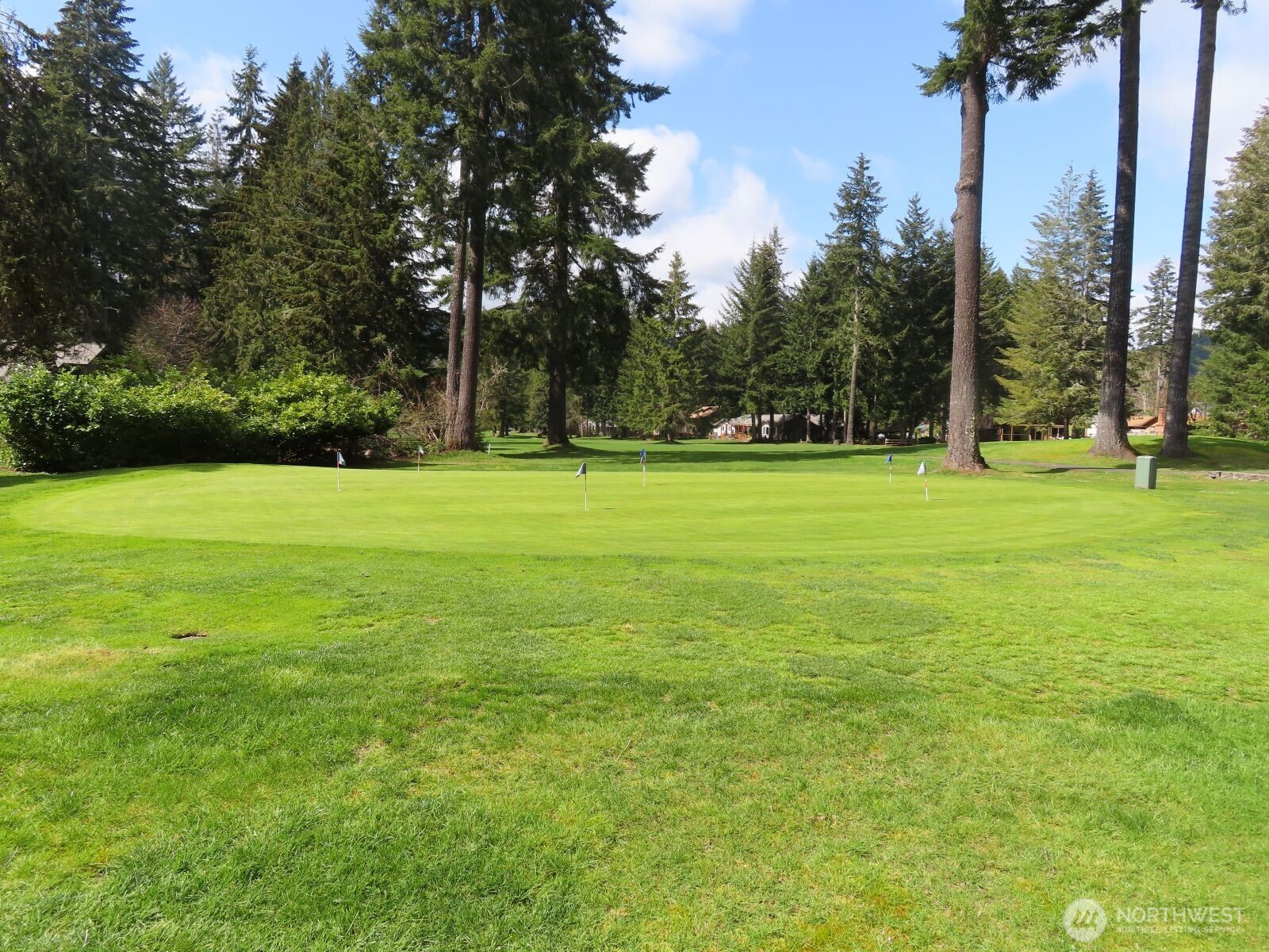 0 Xxx N Lake Cushman Road Property Photo 17