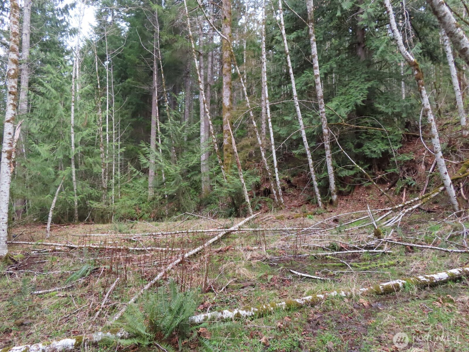 0 Xxx N Lake Cushman Road Property Photo 22