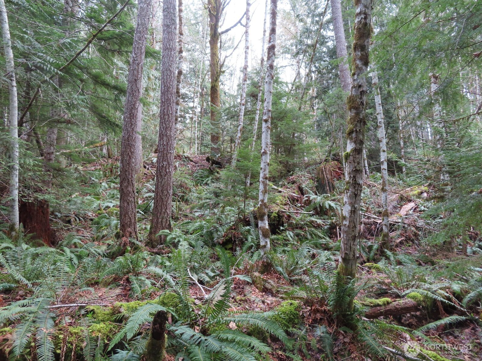 0 Xxx N Lake Cushman Road Property Photo 23