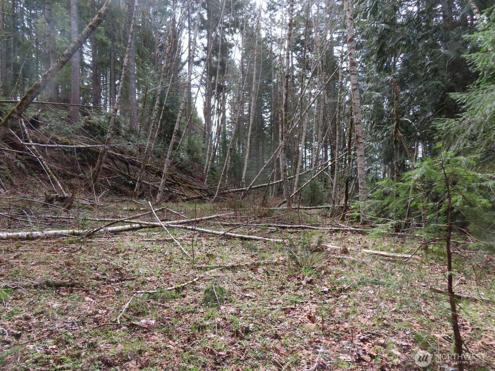 0 Xxx N Lake Cushman Road Property Photo 25