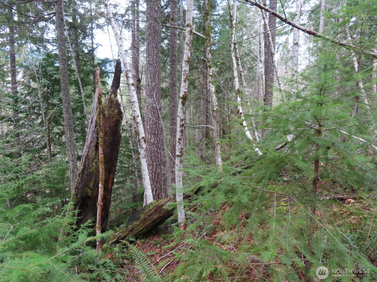 0 Xxx N Lake Cushman Road Property Photo 27