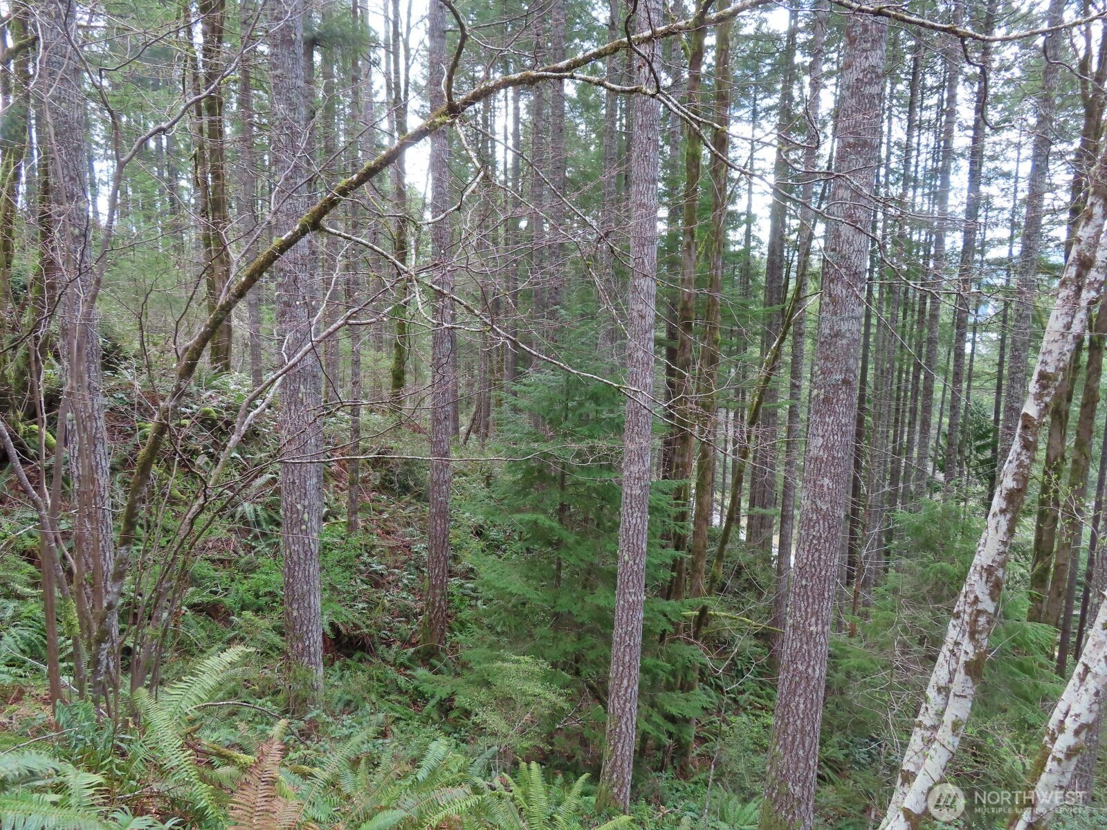 0 Xxx N Lake Cushman Road Property Photo 28